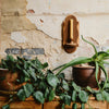 Charm Candle Sconce - Dark with Natural Oak