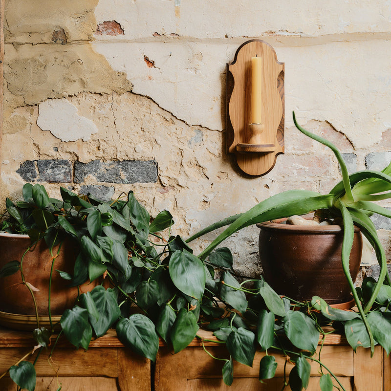 Charm Candle Sconce - Natural with Dark Oak